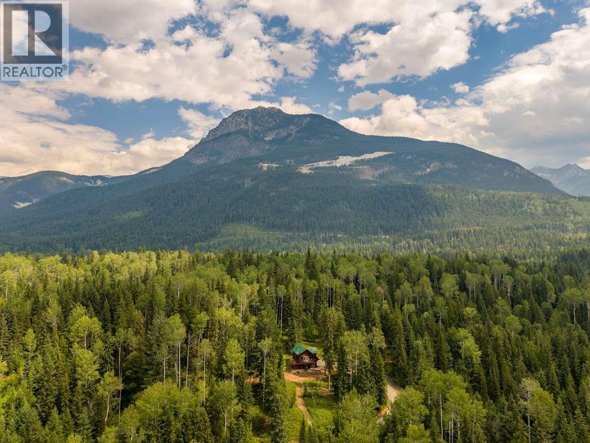 1629 Adolph Johnson Road, Golden, British Columbia  V0A 1H1 - Photo 51 - 10400835