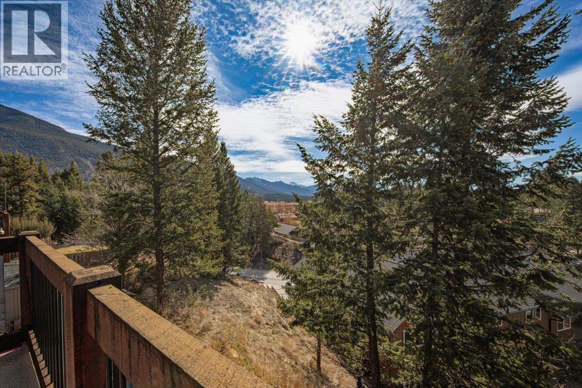 989 Swansea View Road Unit# 10, Windermere, British Columbia  V0A 1K3 - Photo 18 - 10400873