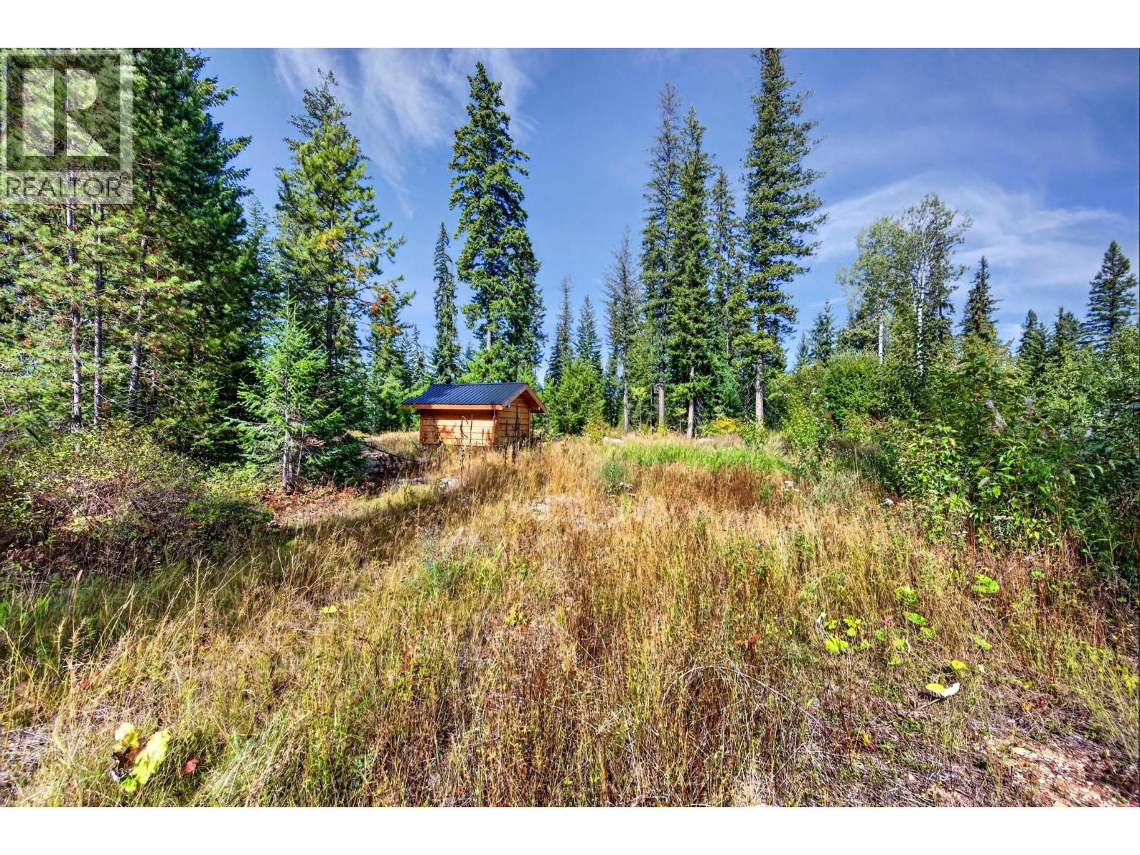 2756 Donald Road, Golden, British Columbia  V0A 1H1 - Photo 11 - 10400747