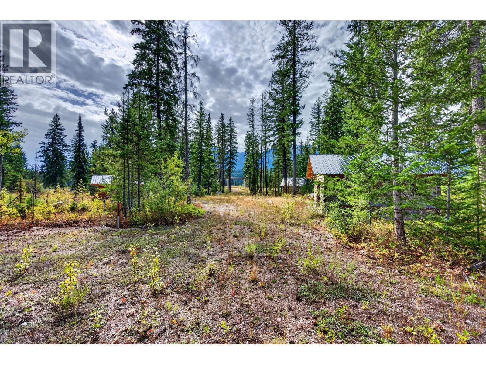 2756 Donald Road, Golden, British Columbia  V0A 1H1 - Photo 14 - 10400747