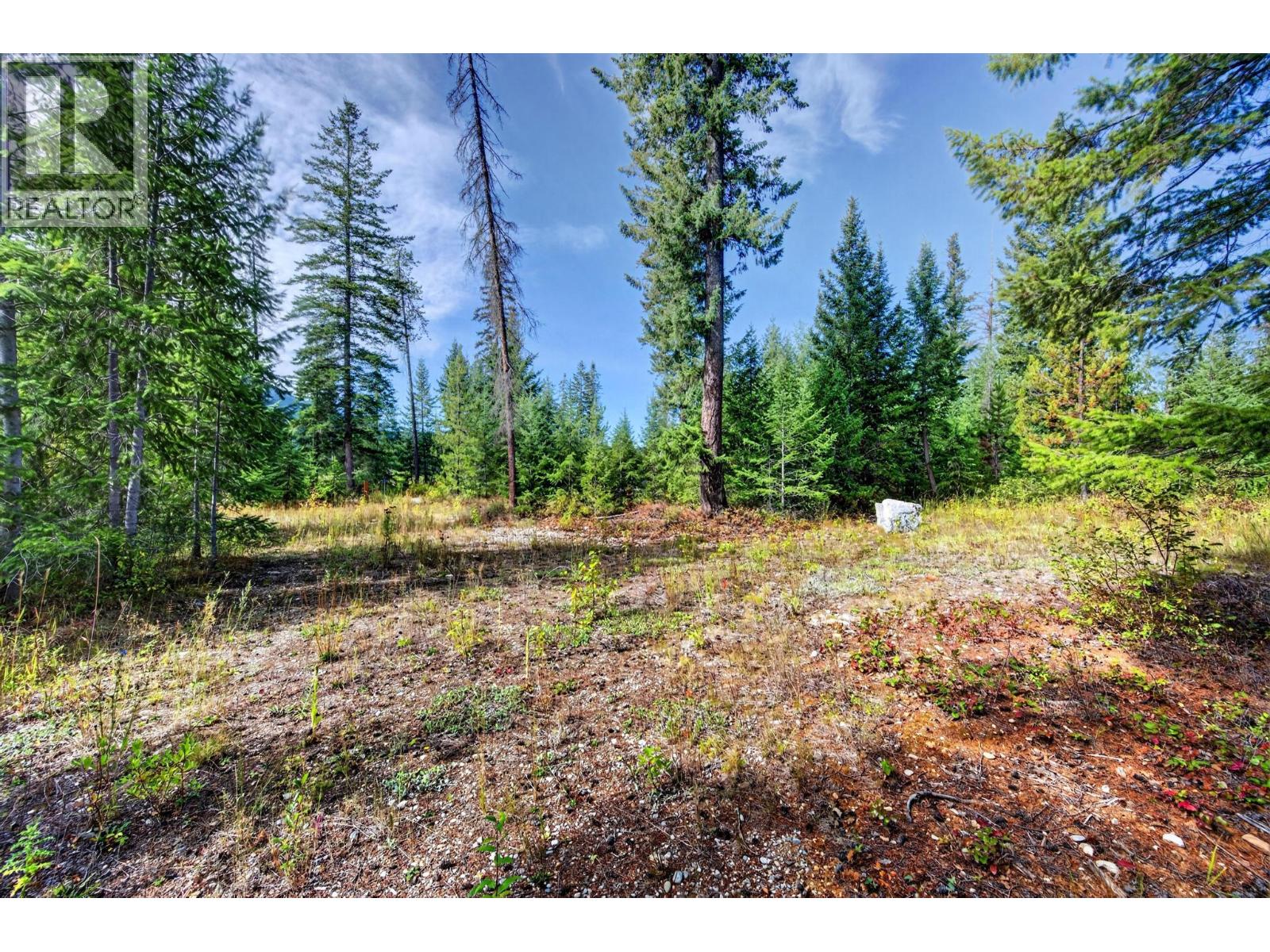 2756 Donald Road, Golden, British Columbia  V0A 1H1 - Photo 38 - 10400747