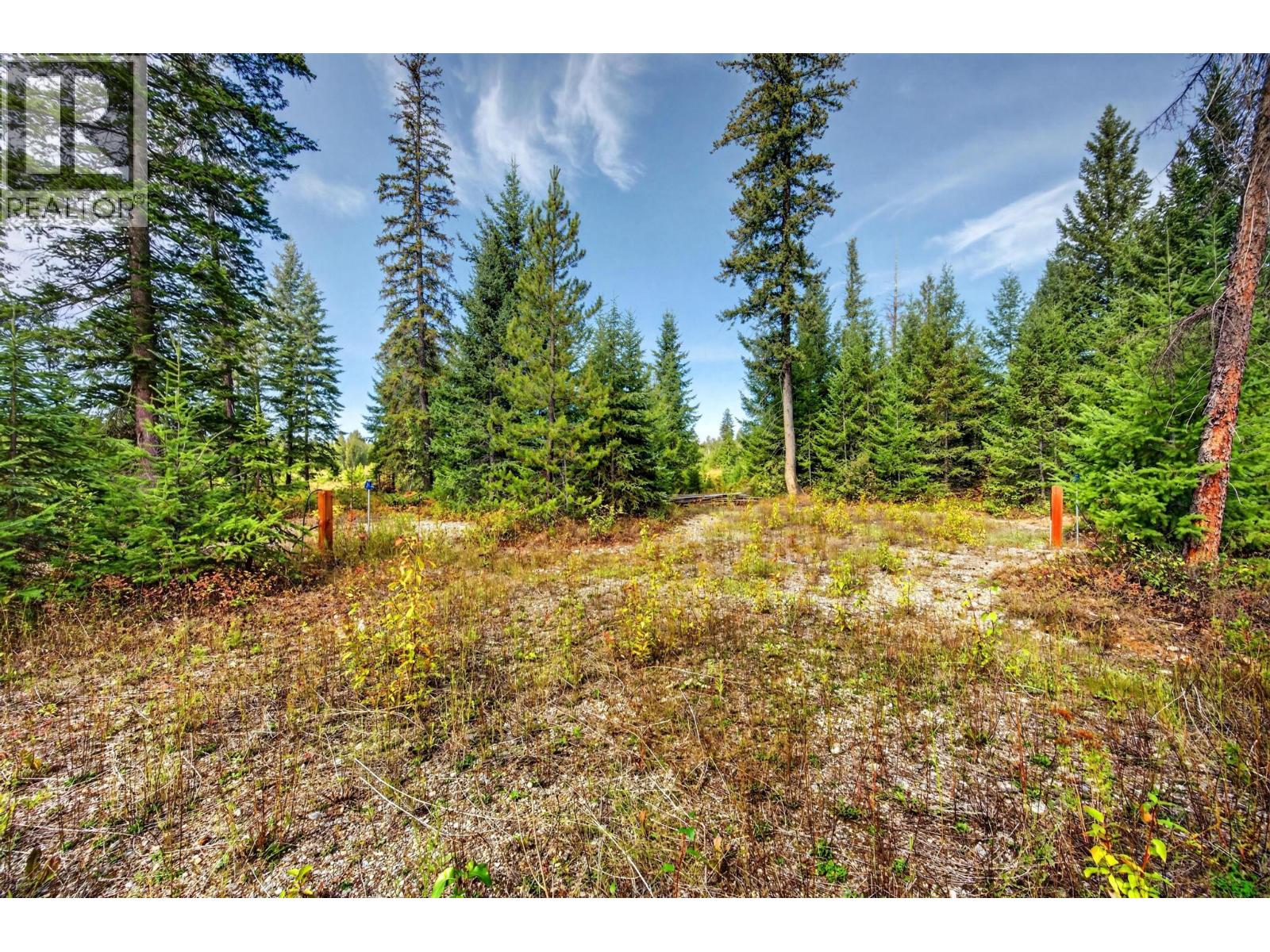 2756 Donald Road, Golden, British Columbia  V0A 1H1 - Photo 39 - 10400747