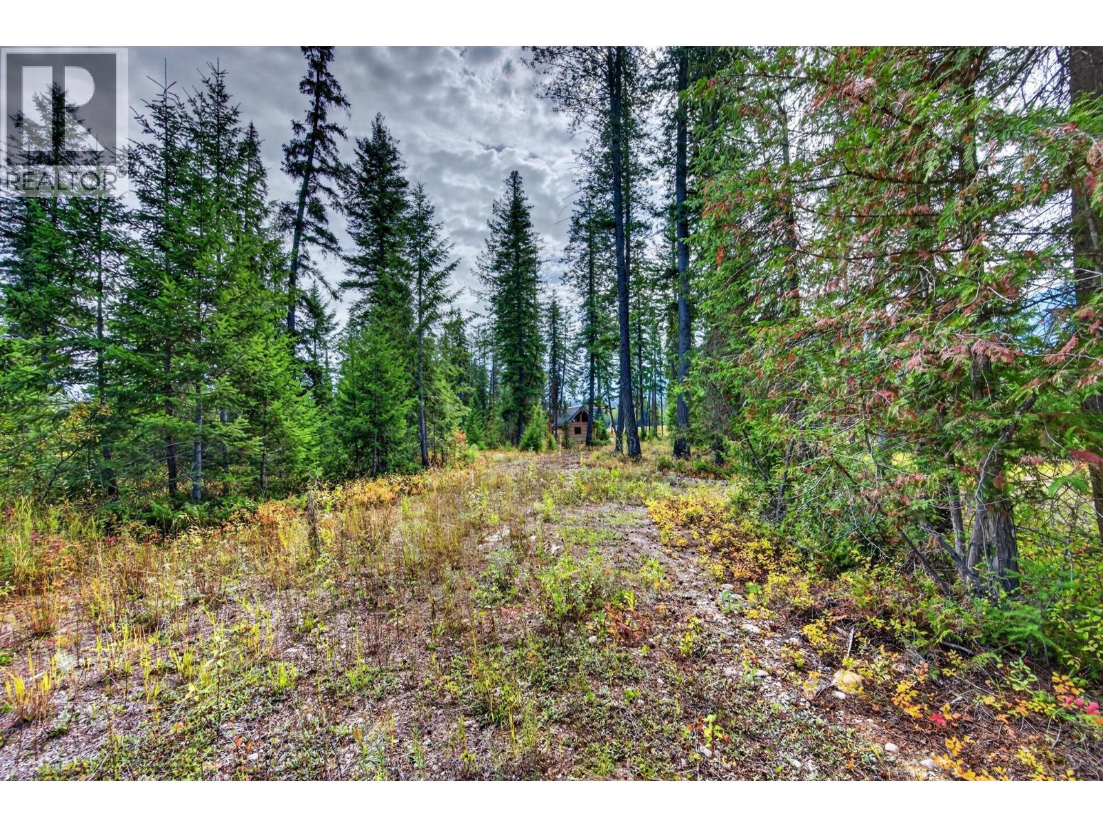 2756 Donald Road, Golden, British Columbia  V0A 1H1 - Photo 40 - 10400747
