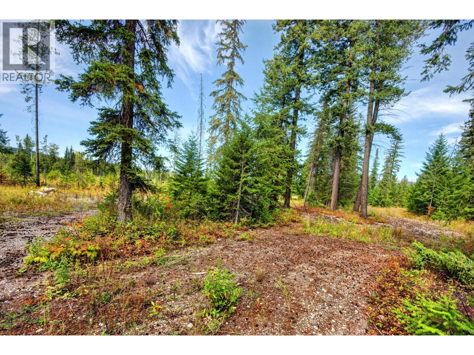 2756 Donald Road, Golden, British Columbia  V0A 1H1 - Photo 42 - 10400747