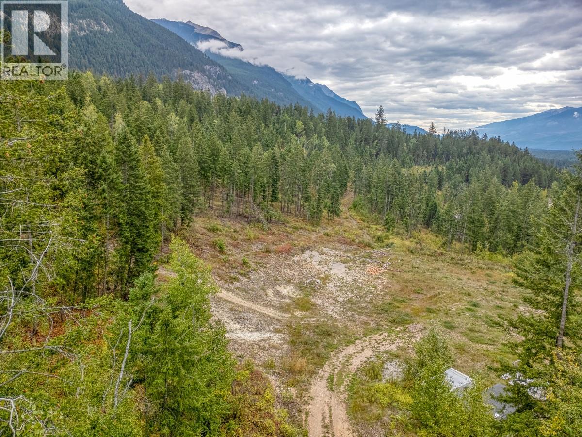 470 Reflection Lake Road, Golden, British Columbia  V0A 1H6 - Photo 18 - 10400928