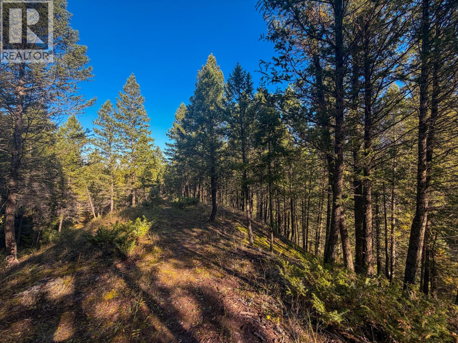 4906 Lynx Drive, Radium Hot Springs, British Columbia  V0A 1M0 - Photo 30 - 10401569