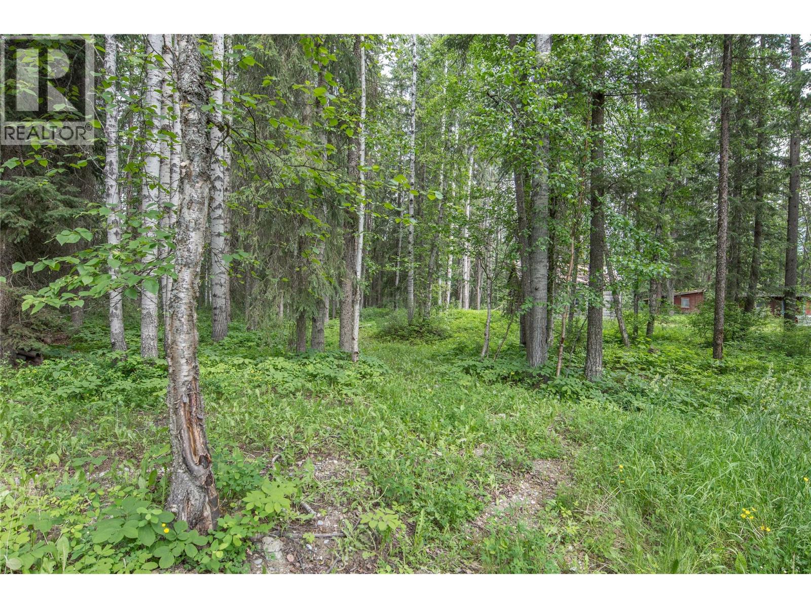 1691 Oberg Johnson Road, Golden, British Columbia  V0A 1H1 - Photo 41 - 10402519
