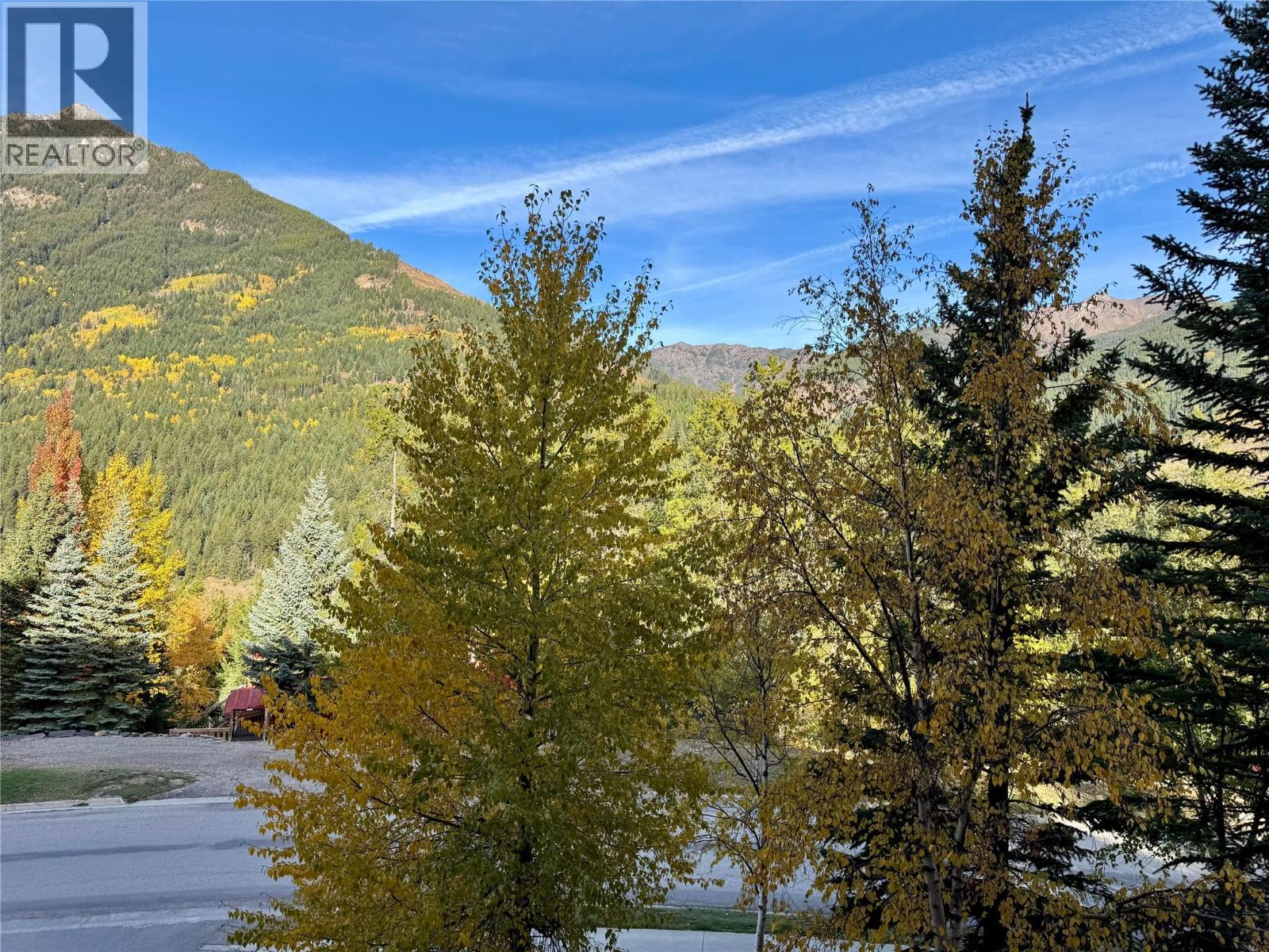 2064 Summit Drive Unit# 106, Panorama, British Columbia  V0A 1T0 - Photo 5 - 10402613