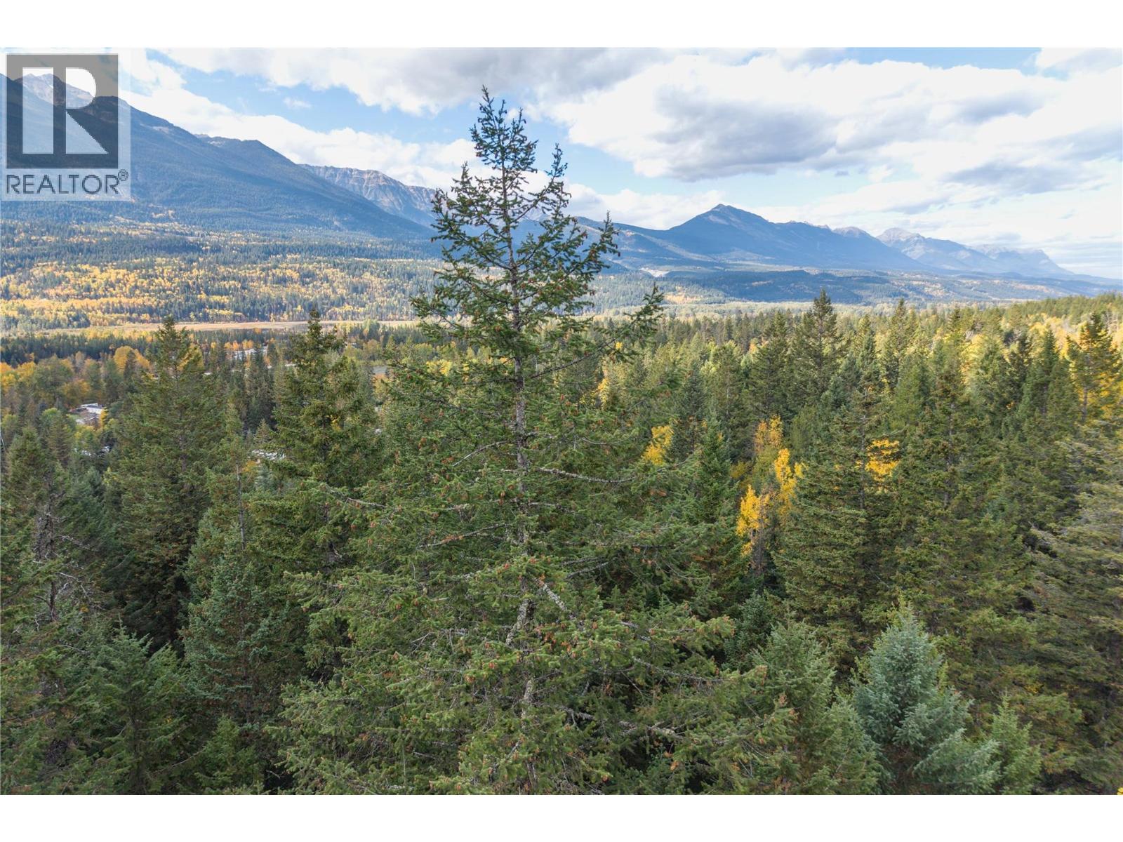 1260 Whitetail Drive, Golden, British Columbia  V0A 1H7 - Photo 19 - 10402883