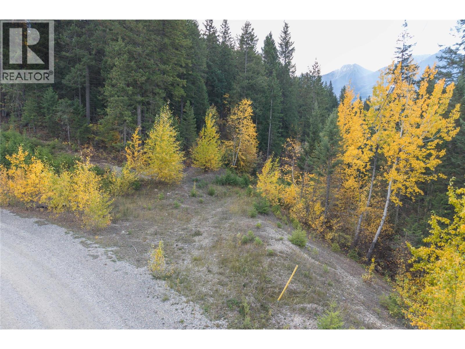 1260 Whitetail Drive, Golden, British Columbia  V0A 1H7 - Photo 4 - 10402883