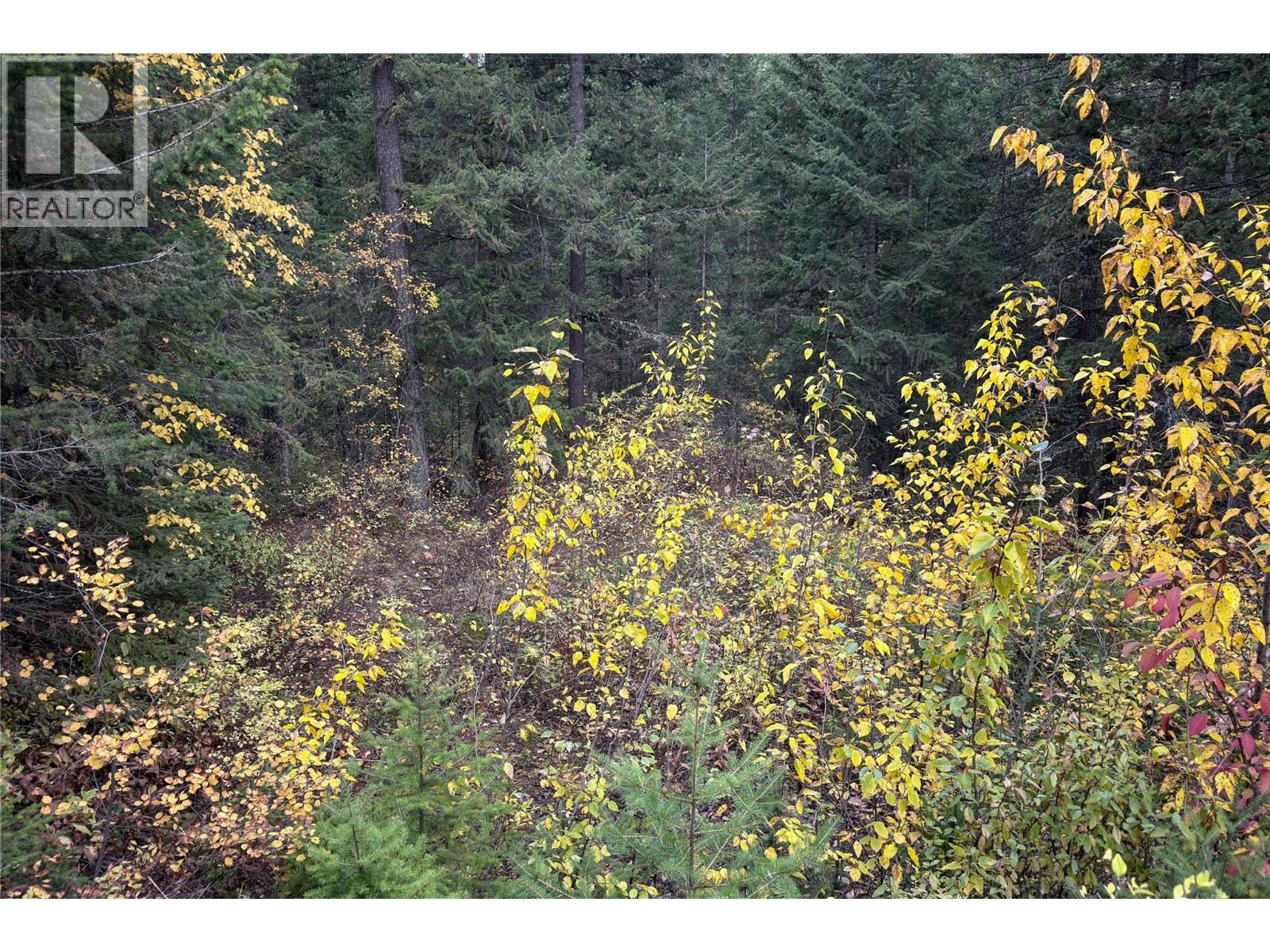 1260 Whitetail Drive, Golden, British Columbia  V0A 1H7 - Photo 8 - 10402883