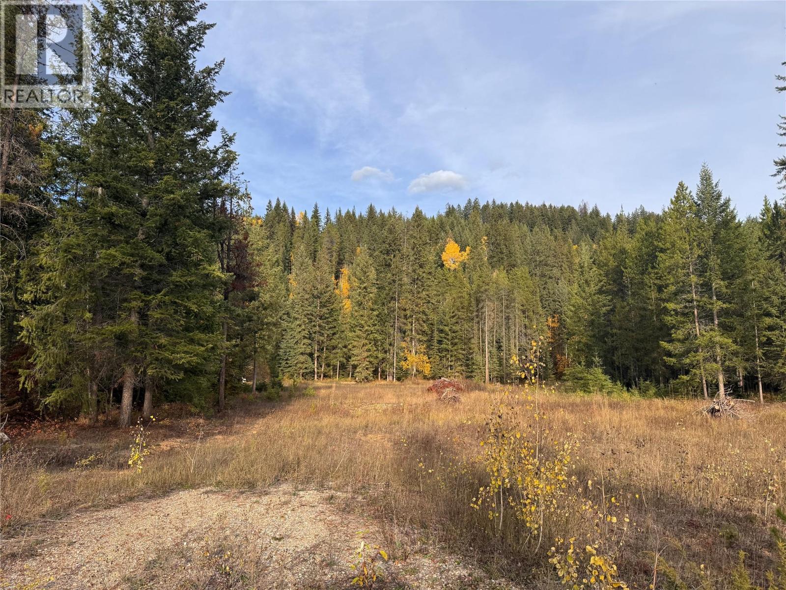 2710 Big Bend Highway, Golden, British Columbia  V0A 1H1 - Photo 2 - 10403074