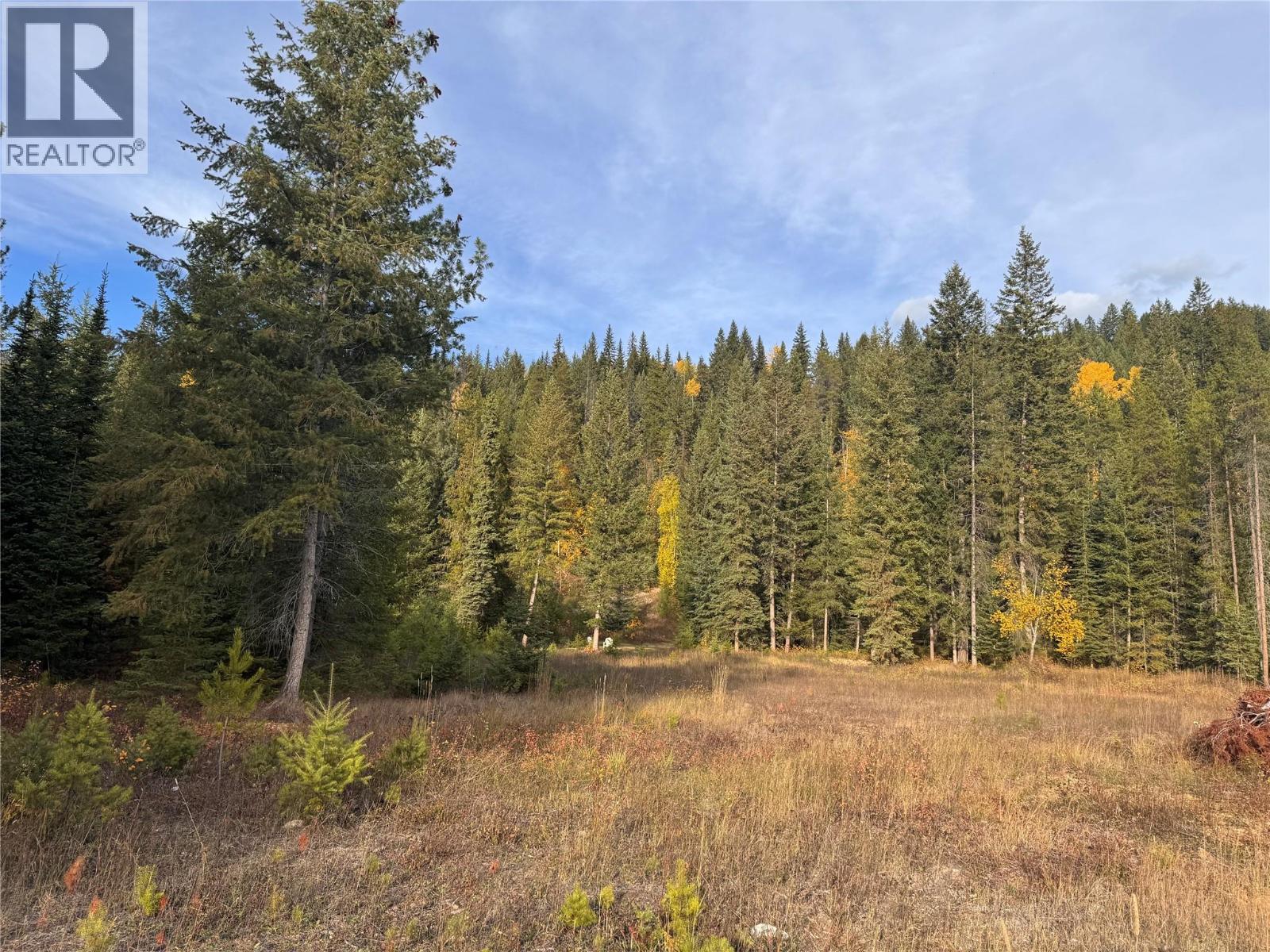 2710 Big Bend Highway, Golden, British Columbia  V0A 1H1 - Photo 3 - 10403074
