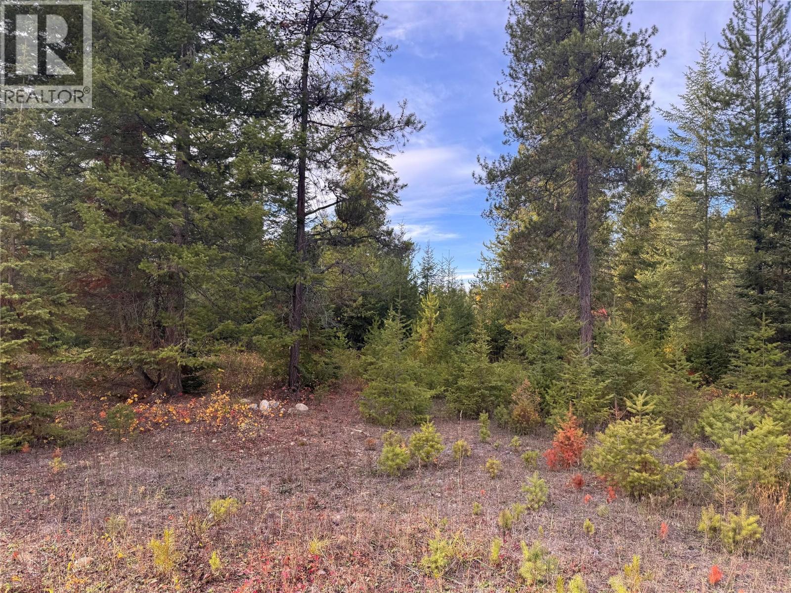 2710 Big Bend Highway, Golden, British Columbia  V0A 1H1 - Photo 4 - 10403074