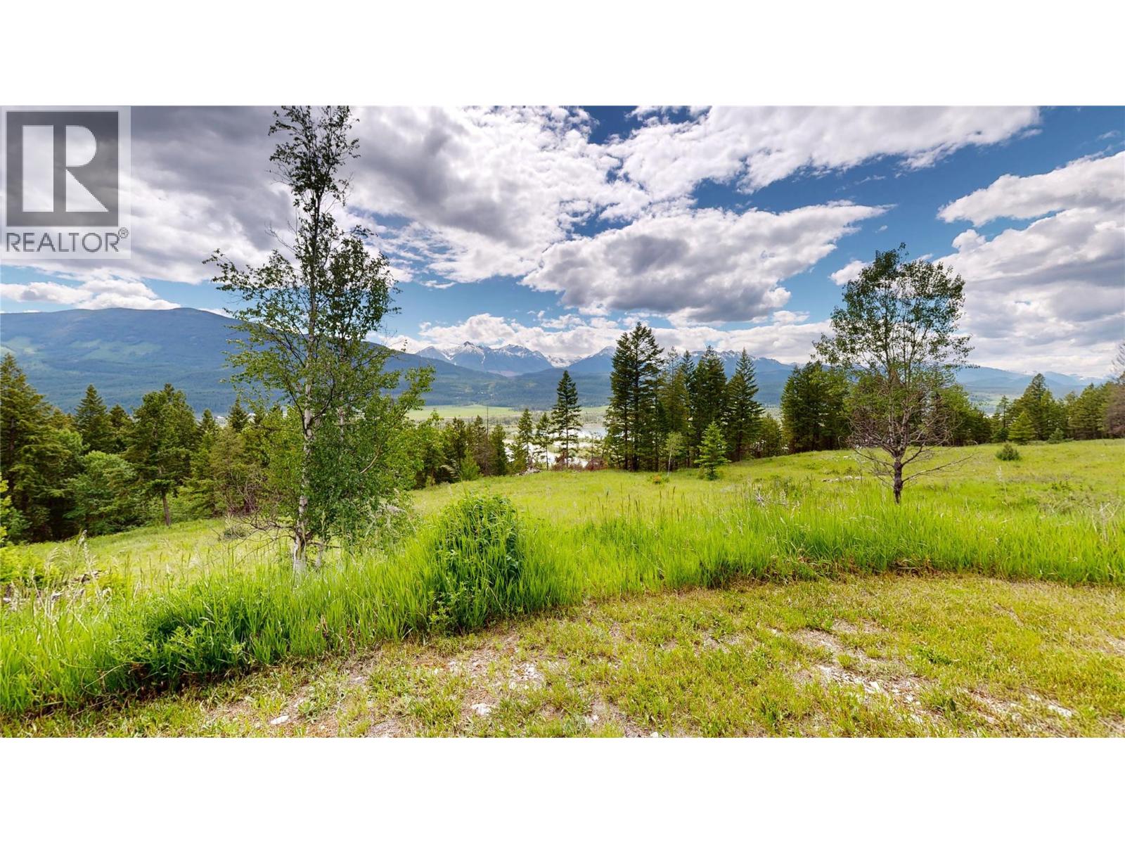 2660 95 Highway, Brisco, British Columbia  V0A 1B0 - Photo 34 - 10403277