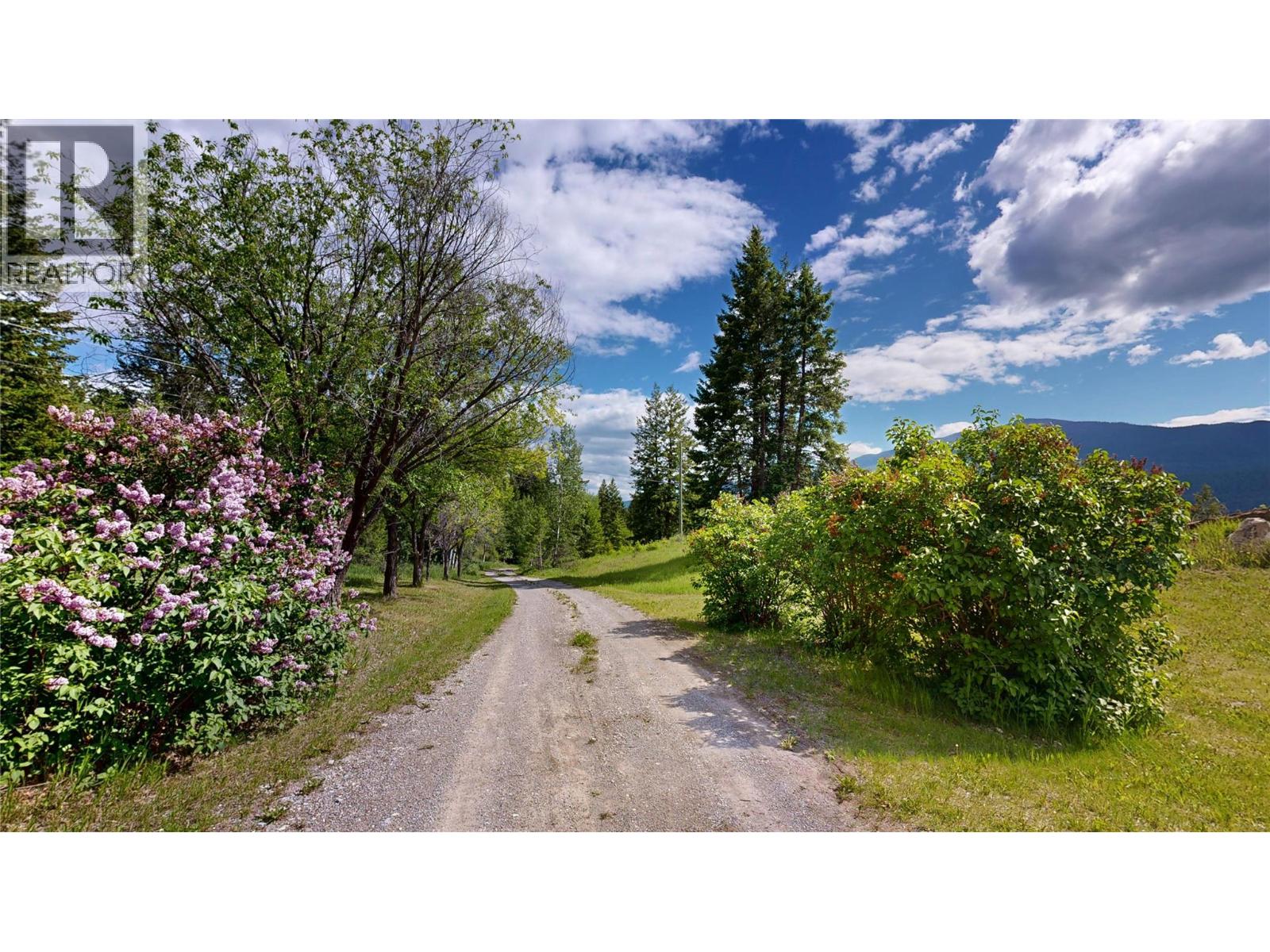 2660 95 Highway, Brisco, British Columbia  V0A 1B0 - Photo 53 - 10403277