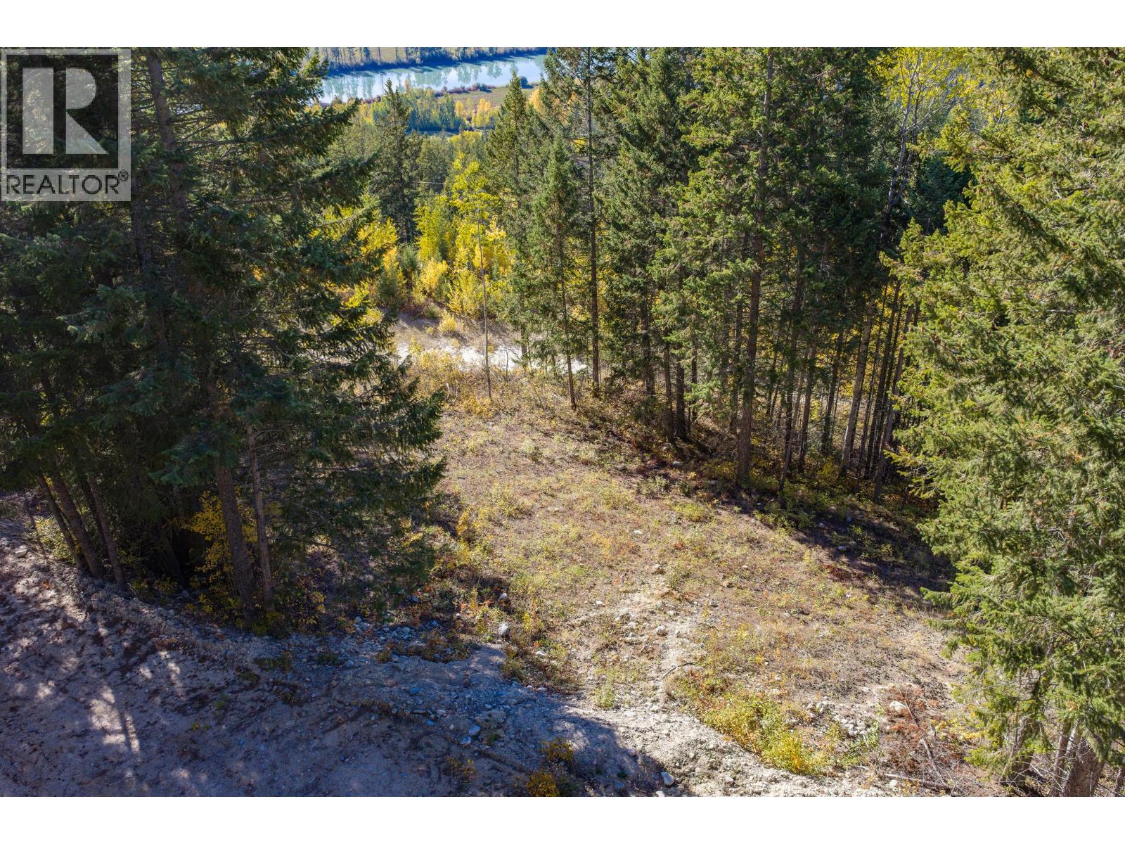 3483 95 Highway Unit# Site 13 Lot# 1, Parson, British Columbia  V0A 1L0 - Photo 3 - 10403374