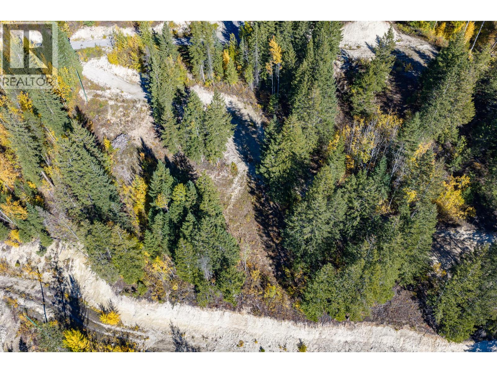 3483 95 Highway Unit# Site 13 Lot# 1, Parson, British Columbia  V0A 1L0 - Photo 7 - 10403374