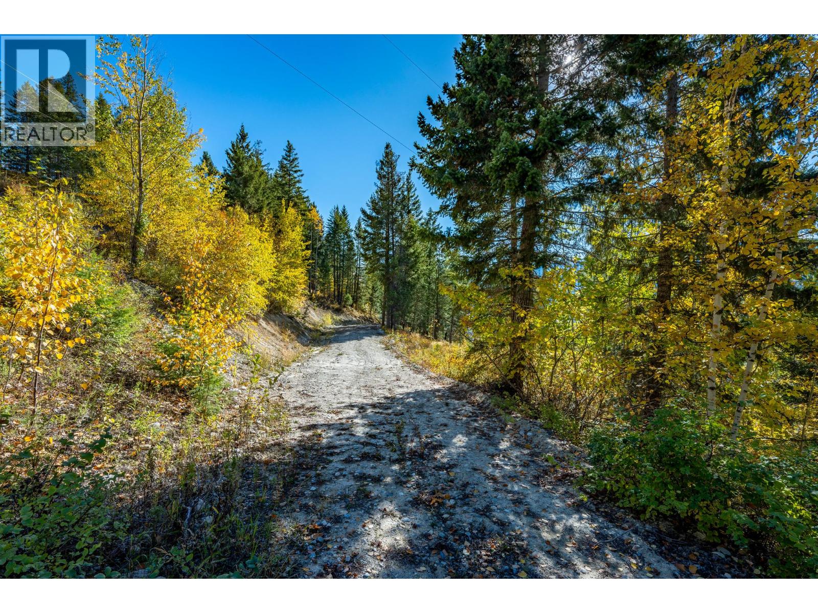 3483 95 Highway Unit# Site 13 Lot# 1, Parson, British Columbia  V0A 1L0 - Photo 9 - 10403374