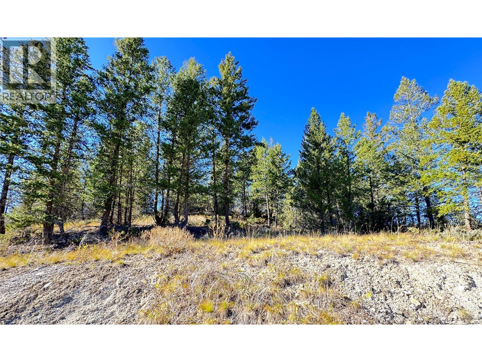 Lot 41 Cooper Road, Windermere, British Columbia  V0A 1K2 - Photo 15 - 10403520