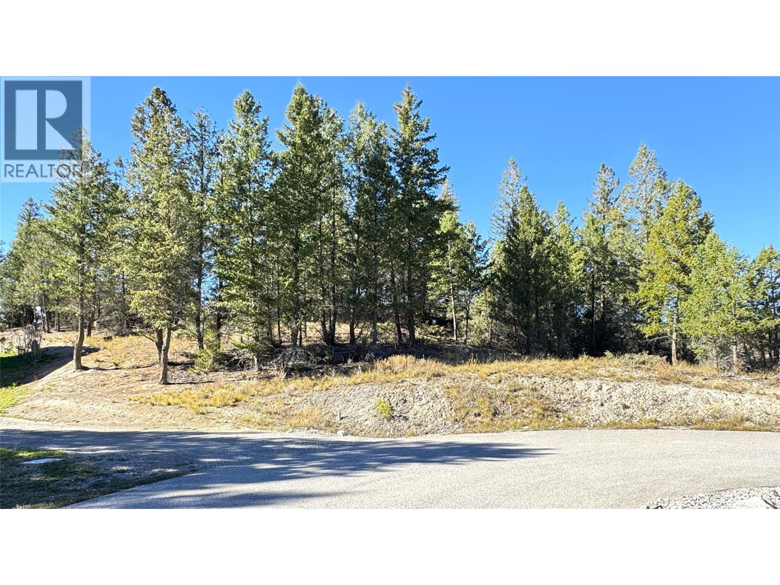 Lot 41 Cooper Road, Windermere, British Columbia  V0A 1K2 - Photo 3 - 10403520