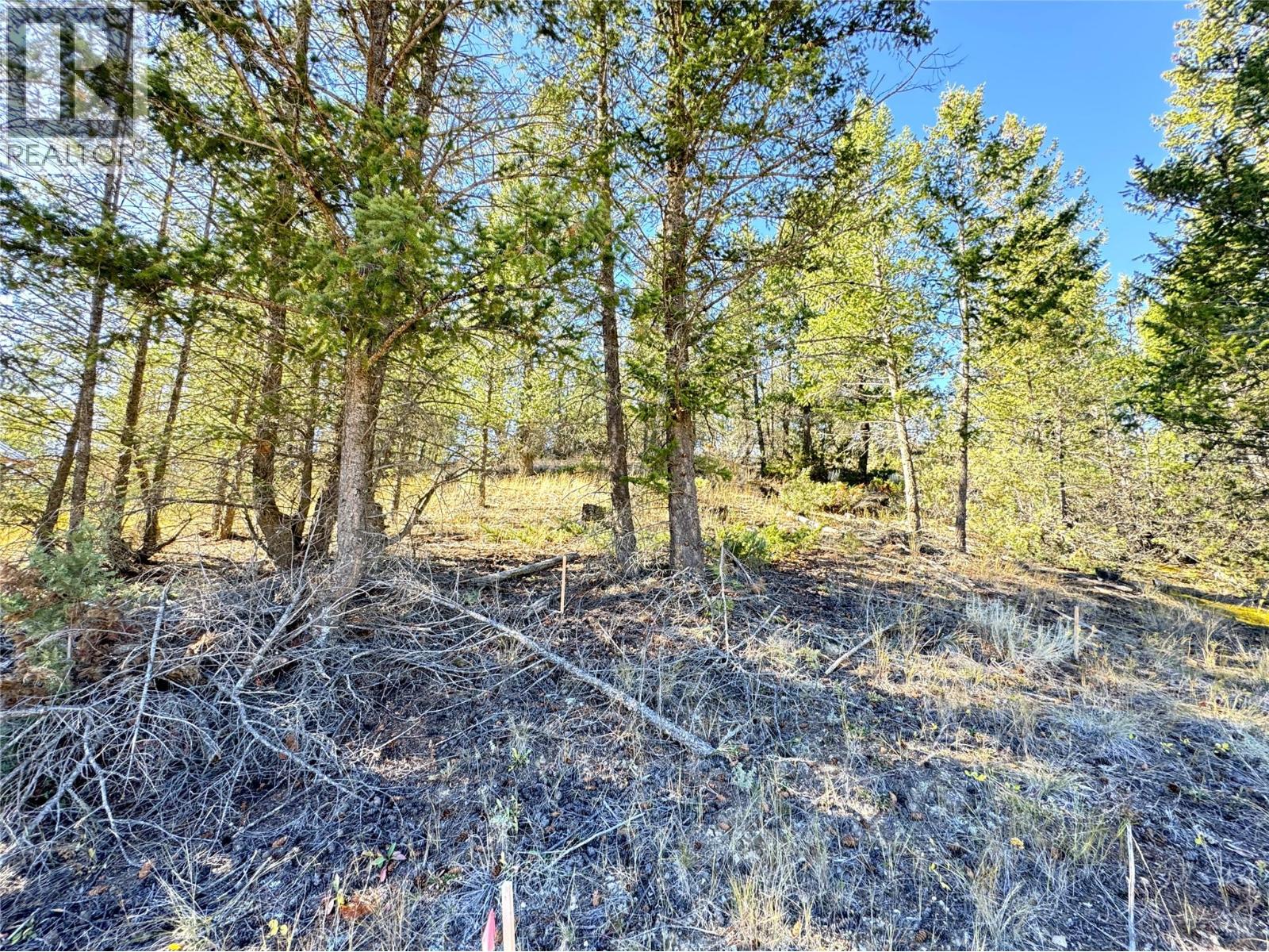 Lot 41 Cooper Road, Windermere, British Columbia  V0A 1K2 - Photo 9 - 10403520