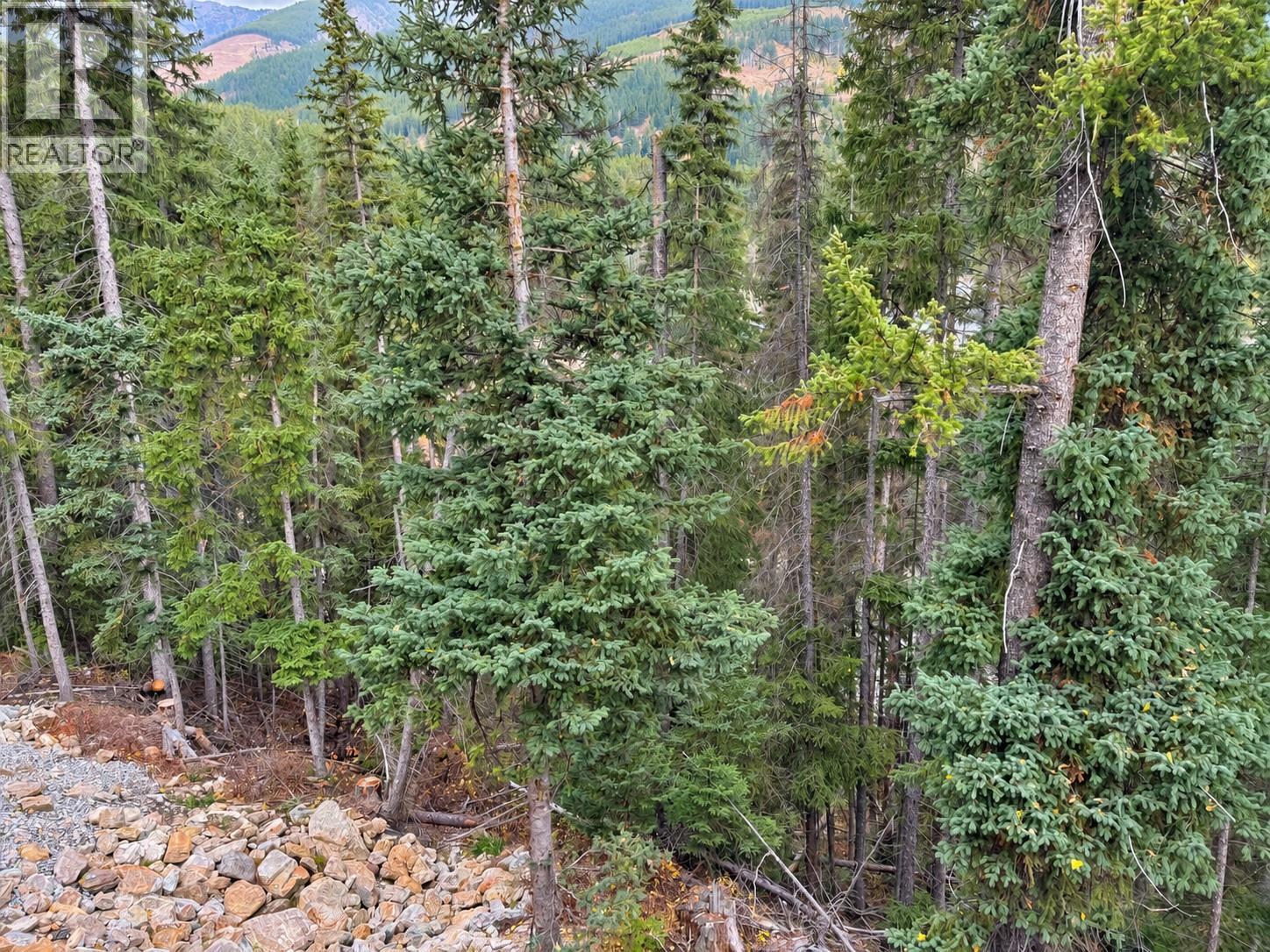 2116 Panorama Drive Unit# 203, Panorama, British Columbia  V0A 1T0 - Photo 33 - 10404050