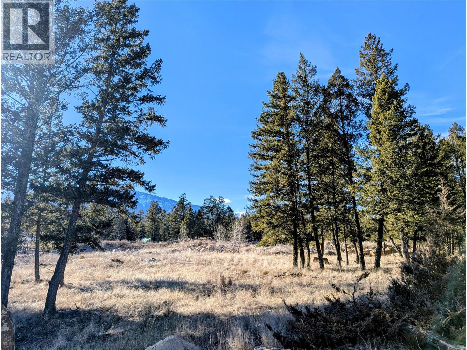 2476 Castlestone Drive, Invermere, British Columbia  V0A 1K6 - Photo 3 - 10403844