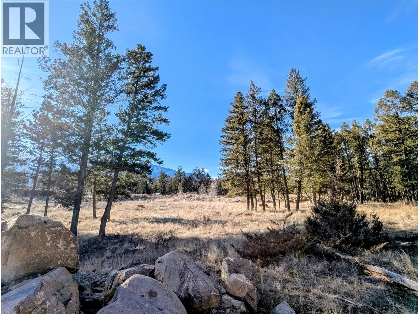 2476 Castlestone Drive, Invermere, British Columbia  V0A 1K6 - Photo 7 - 10403844
