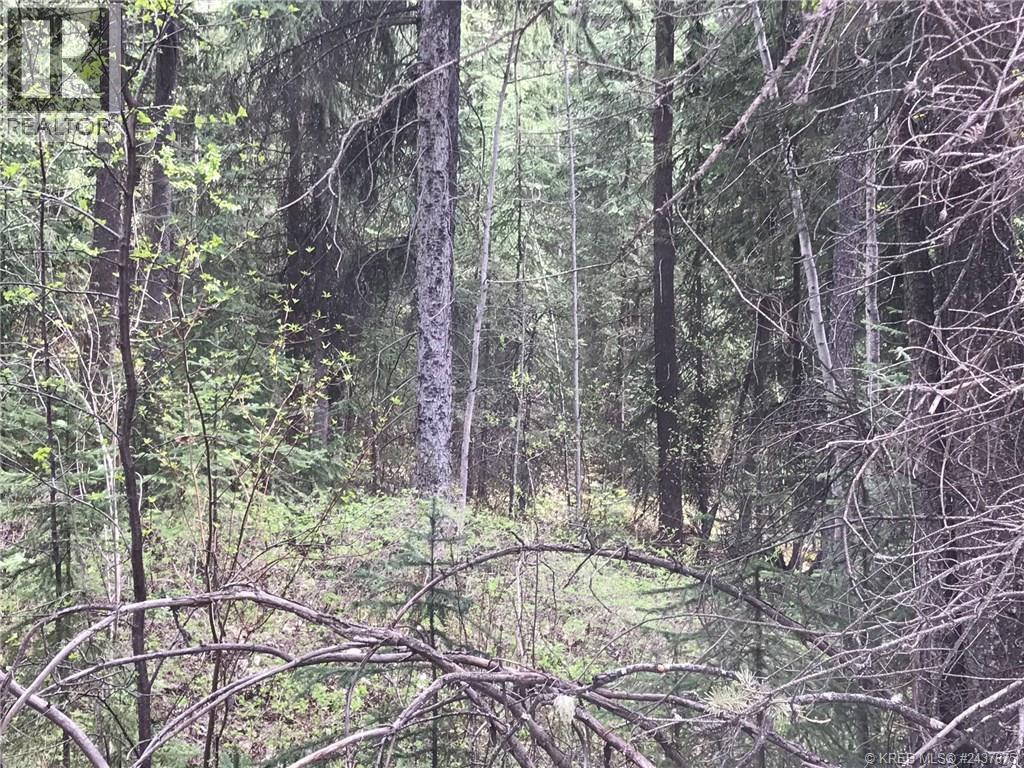 782 Golden Donald Upper Road, Golden, British Columbia  V0A 1H1 - Photo 6 - 10404994