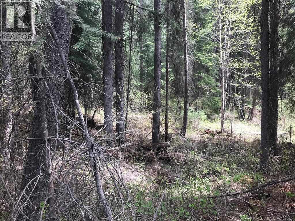 782 Golden Donald Upper Road, Golden, British Columbia  V0A 1H1 - Photo 8 - 10404994