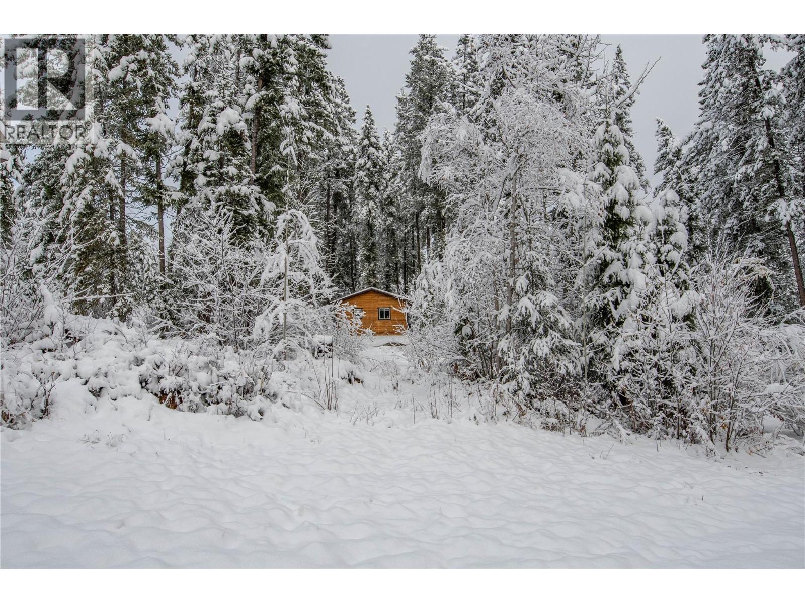 787 Golden Donald Upper Road, Golden, British Columbia  V0A 1H1 - Photo 36 - 10404931